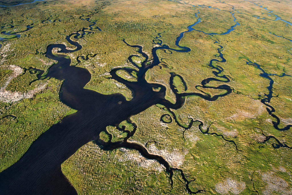 Intricate-wetland-delta-from-above