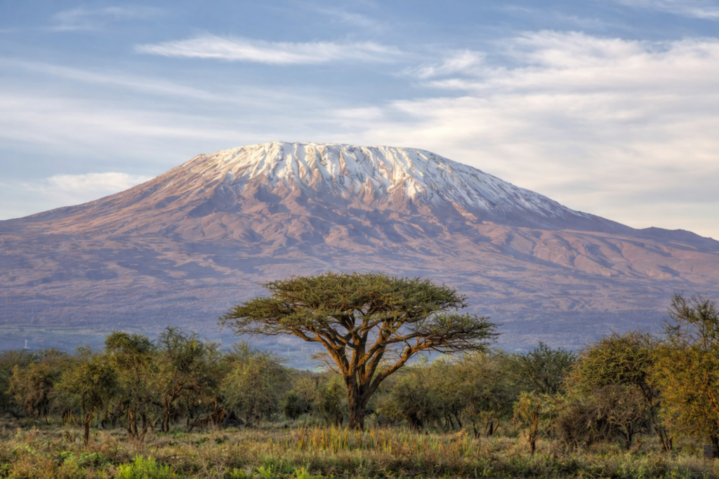 Mount_Kilimanjaro_and_acacia