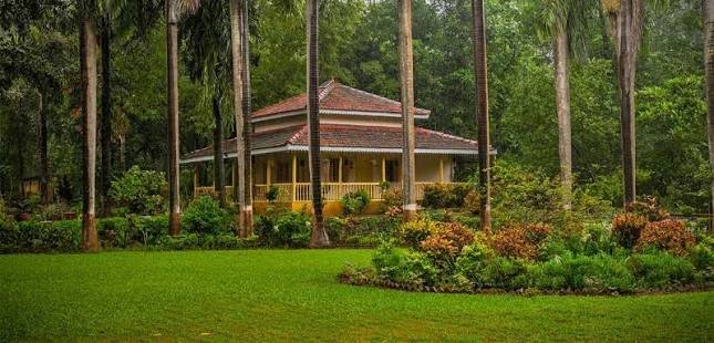 Dangs Forest Revival: Native Flora & Nursery