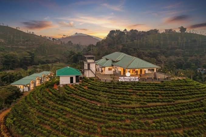 Wild Hospitality: Eco-Lodge Life, Wayanad